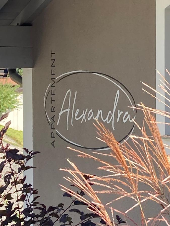 Appartement Alexandra Neukirchen am Großvenediger Exterior foto